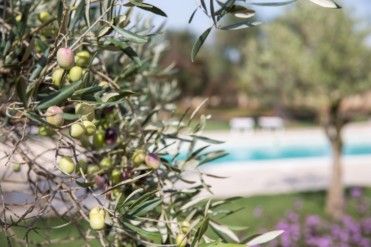 روفانو Masseria Saietti المظهر الخارجي الصورة